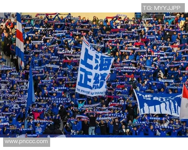 上海申花：崛起中的新力量，足球文化与城市精神的完美融合