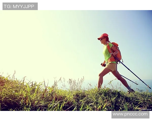 以运动为核心探索健康生活与身心平衡的科学之道
