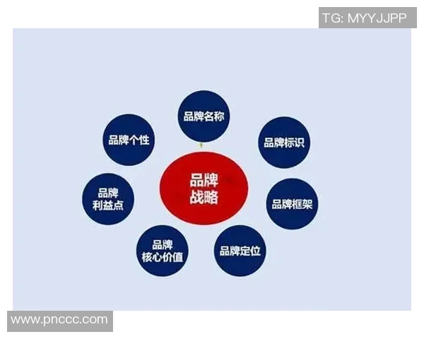 打造综合型体育俱乐部新模式提升会员体验和品牌价值的创新探索