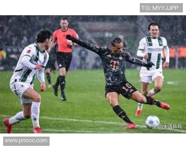 聚焦欧洲五大联赛新赛季格局与豪门争霸趋势发展深度解析全景观察